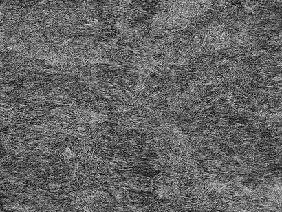 Mary Ann Peters. This trembling turf (the shallows), 2018. Courtesy Frye Art Museum