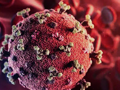 Una pandemia inútilmente anunciada