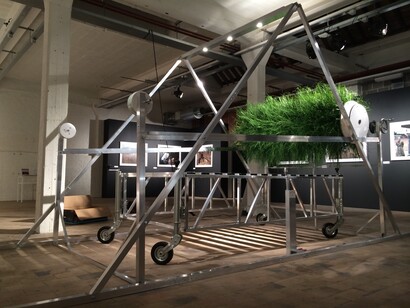 Mattia Casalegno, Grass Roller, 2017