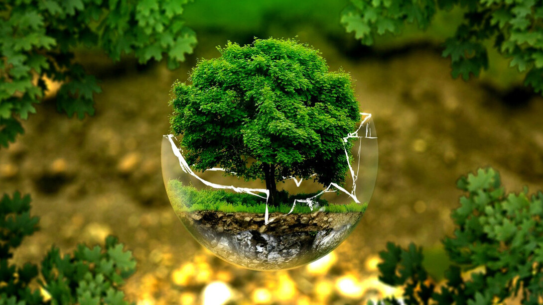 La justicia social puede ser la portadora de la sostenibilidad, para las personas, para las sociedades y para la naturaleza