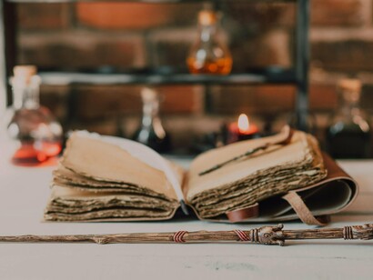Os estudantes da escola correram para as janelas de seus aposentos, a vila inteira despertou num piscar de olhos, o senhor Sapo abriu uma fresta na sua grande Vitória-Régia, e os duendes e pirilampos saíram de suas minúsculas tocas, arregalando os olhos. Até a dona Preguiça e o senhor Sonêca emergiram de seus refúgios, canecas nas mãos, como se pressentissem um acontecimento que não poderia ser ignorado