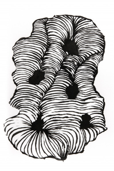 Carlton Newton. Courtesy of Reynolds Gallery