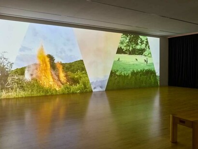 Kambui Olujimi, North star, exhibition view. Courtesy of San Jose Museum of Art