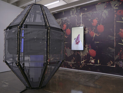 As Always, 2017, installation view, Courtesy of Pari Nadimi Gallery