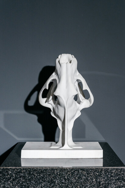 CROPPED.CORPO. Courtesy of PANOVA Gallery