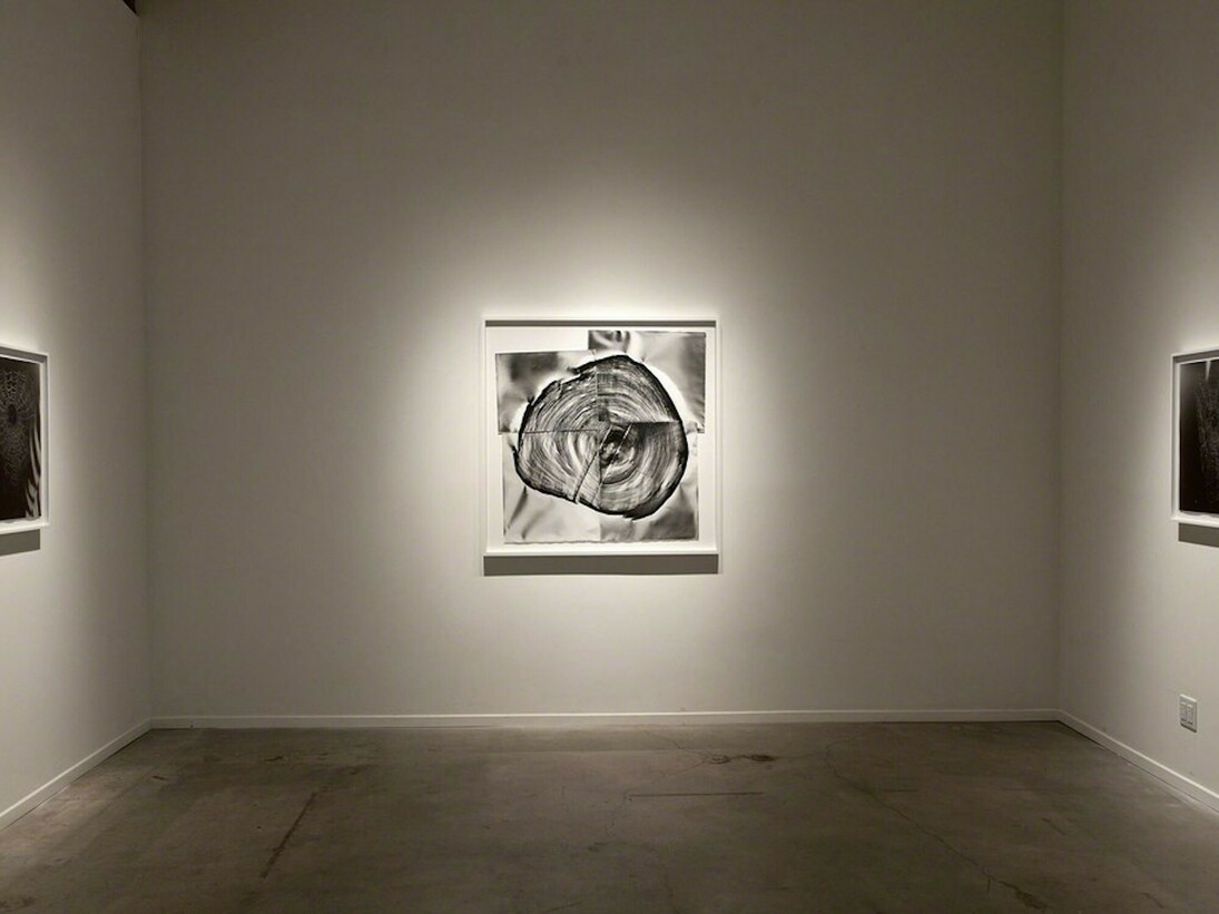 Klea McKenna, Automatic Earth, Exhibition view. Courtesy of Von Lintel Gallery 