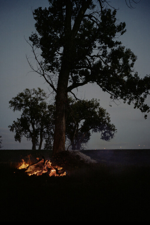 Gregory Halpern. Courtesy of Huxley-Parlour Gallery