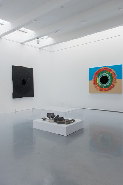 Warren Neidich, installation view. Courtesy of Priska Pasquer