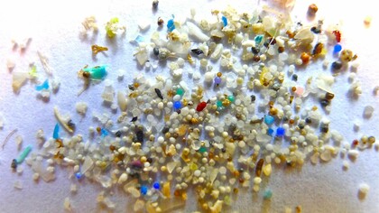 La microplastica rappresenta una preoccupazione crescente negli habitat naturali