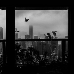 Xyza Cruz Bacani. Courtesy of Blue Lotus Gallery