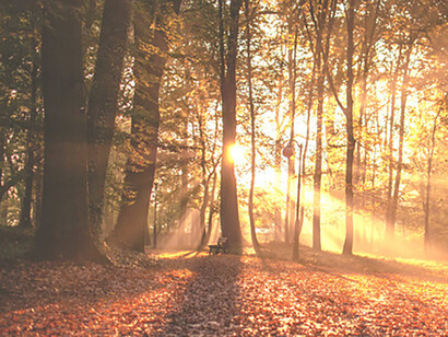 El otoño estaba en todo su esplendor