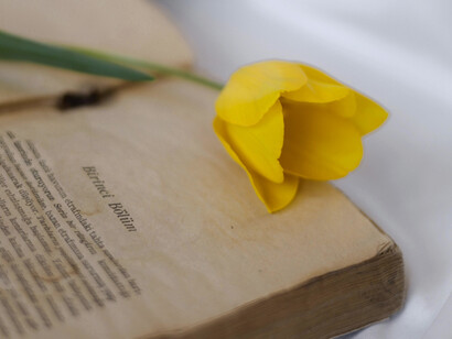 Por qué no decido quedarme, ni continúo de lleno en un felices para siempre que no existe