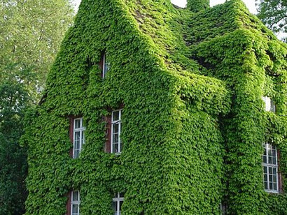 Green building
