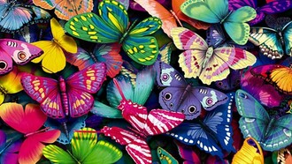 Variedades de mariposas