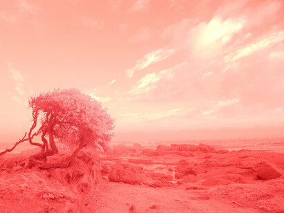 Landscape with a Ruin. Courtesy of Mona Bismarck American Center