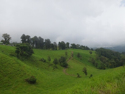 Un paraje bucólico en Vara Blanca, Heredia. Foto: Luko Hilje