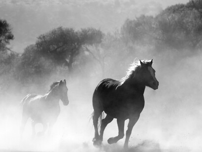 Na base de qualquer processo de mudança está uma autoestima elevada e uma personalidade irreverente