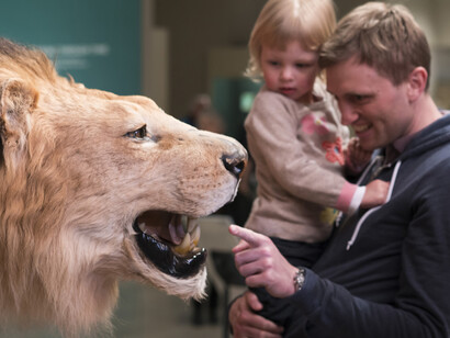 Discovery Basecamp. Courtesy of Carnegie Museum of Natural History