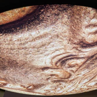 The Coin Cabinet. Courtesy of MNHA