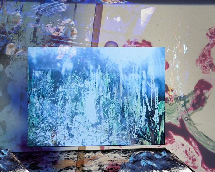 Maya Rochat, Z Online Show, 2017