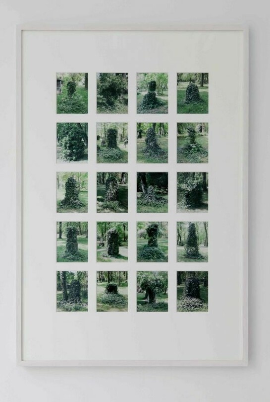 Lisa Tan, Alter Nordfriedhof, 2011, c-print in artist's frame, framed: 36.8 x 25 in. / 93.5 x 63.5 cm, Image courtesy the artist and VidalCuglietta, Brussels
