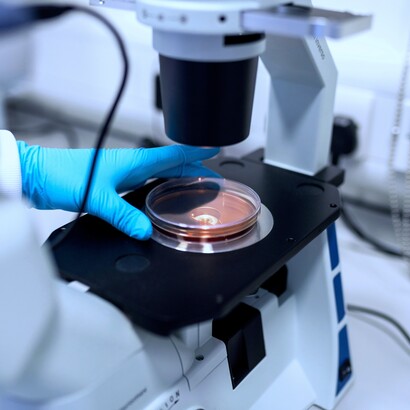 La conoscenza scientifica non è un insieme di verità immutabili, ma un processo aperto alla verifica, alla revisione e alla confutazione