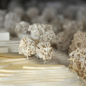 Modellarkivet. Courtesy of ArkDes