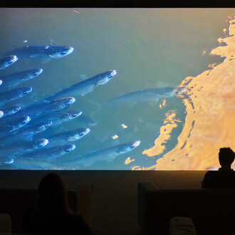 Verena Paravel, Delta, vue de l'exposition. Avec l'aimable autorisation de LUMA Arles