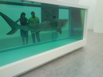 Damien Hirst, "L'impossibilità fisica della morte nella mente di qualcuno che vive", 1991, opera nella collezione privata di Steve Cohen