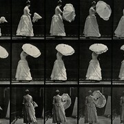 Eadweard Muybridge, Exhibition view. Courtesy of Galleria Credito Siciliano