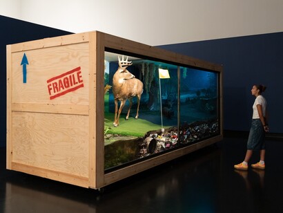 Mark Dion and Alexis Rockman,, Journey to nature’s underworld, exhibition view. Courtesy of Tang Museum