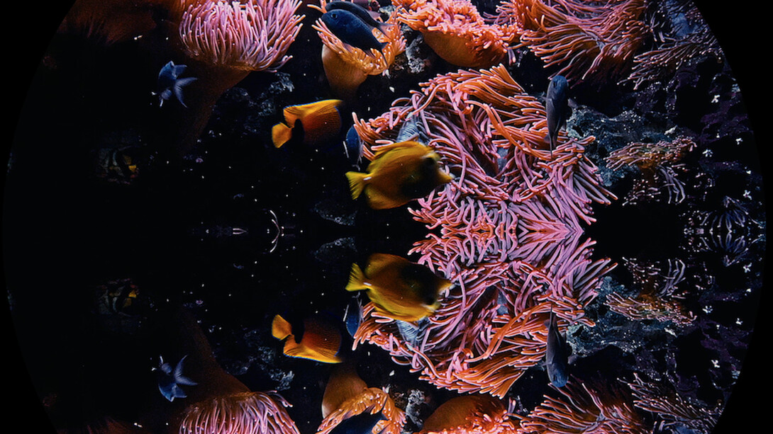 Theo Eshetu, The Slave Ship, 2015, video installation. Image © Theo Eshetu, courtesy of the artist and Tiwani Contemporary.
