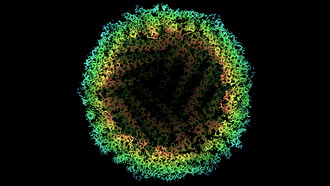 La microscopia crioelettronica rivela i dettagli atomici dell'apoferritina, un complesso proteico cavo a forma sferica che immagazzina il ferro