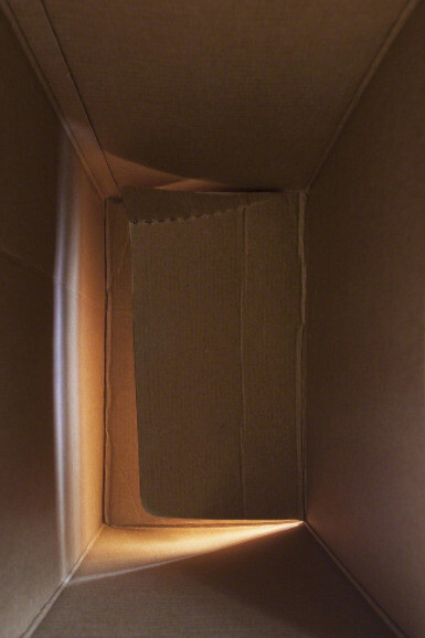 Lucia Koch. Courtesy of Christopher Grimes Gallery