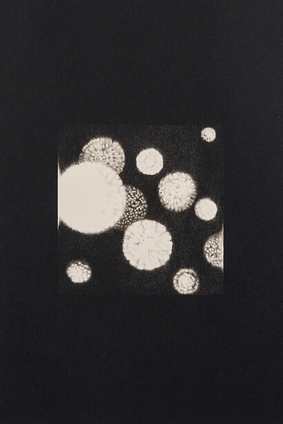 Akihiro Misaki, Preserving Light (detail), 2016. Lithograph, 18.5 x 15.7 inches (47 x 40 cm), Editon 2 of 7. Courtesy of Seizan Gallery