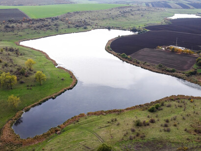 Vegetação e plantações. Os Tigres Asiático disciplinados, não cansaram