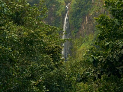 Mas o movimento de abertura é real. Cada vez mais pessoas — de diferentes origens, profissões e crenças — têm buscado essa medicina como forma de reconexão consigo mesmas. A ciência começa a se interessar, e o diálogo entre espiritualidade e pesquisa promete ampliar a compreensão sobre os efeitos e benefícios do chá