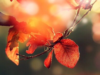Autunno