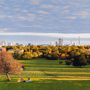 Primrose by Christian Marsh