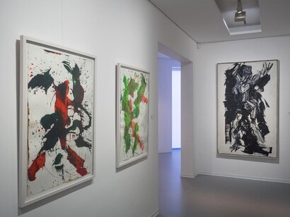 Franz Grabmayr. Courtesy of Danubiana