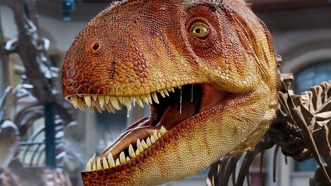 The World of Dinosaurs. Courtesy of Museum für Naturkunde