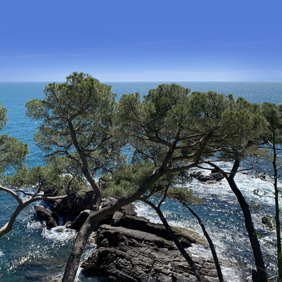 I paesaggi che Constance amava della Liguria (Foto Fondazione Bogliasco)