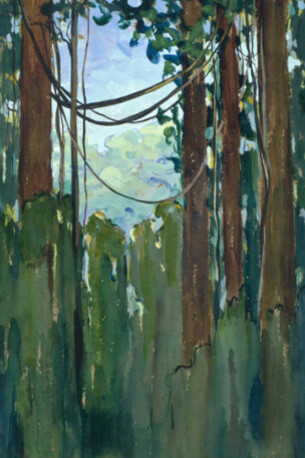 Anna Heyward Taylor. Courtesy of The Gibbes museum