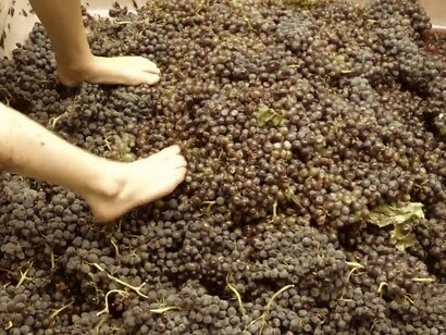 Pisando uvas