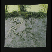 Carol Shinn. Courtesy of Tansey Contemporary