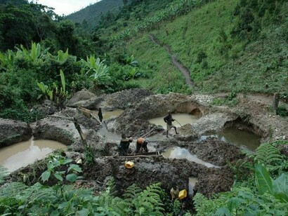 The human acts are finishing with a lot of vegetable life