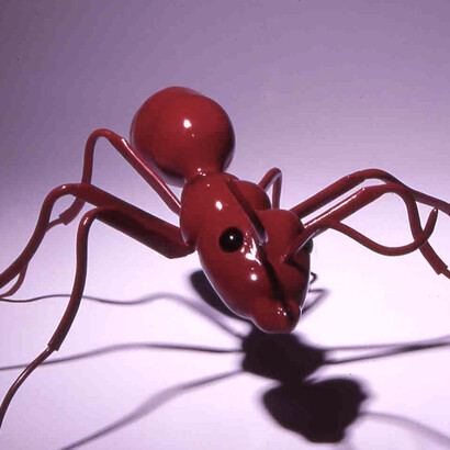 Hormigas, Joe Peragine
