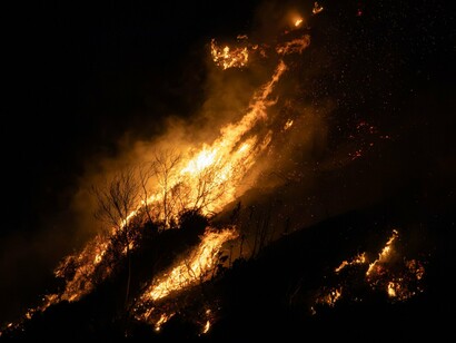 Embers scattering across the night sky as wildfire advances, representing the domino effects of environmental neglect