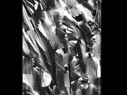Brett Weston. Courtesy of Cleveland Museum of Art