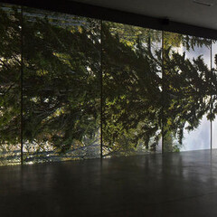 Eija-Liisa Ahtila. Courtesy of M-Museum Leuven